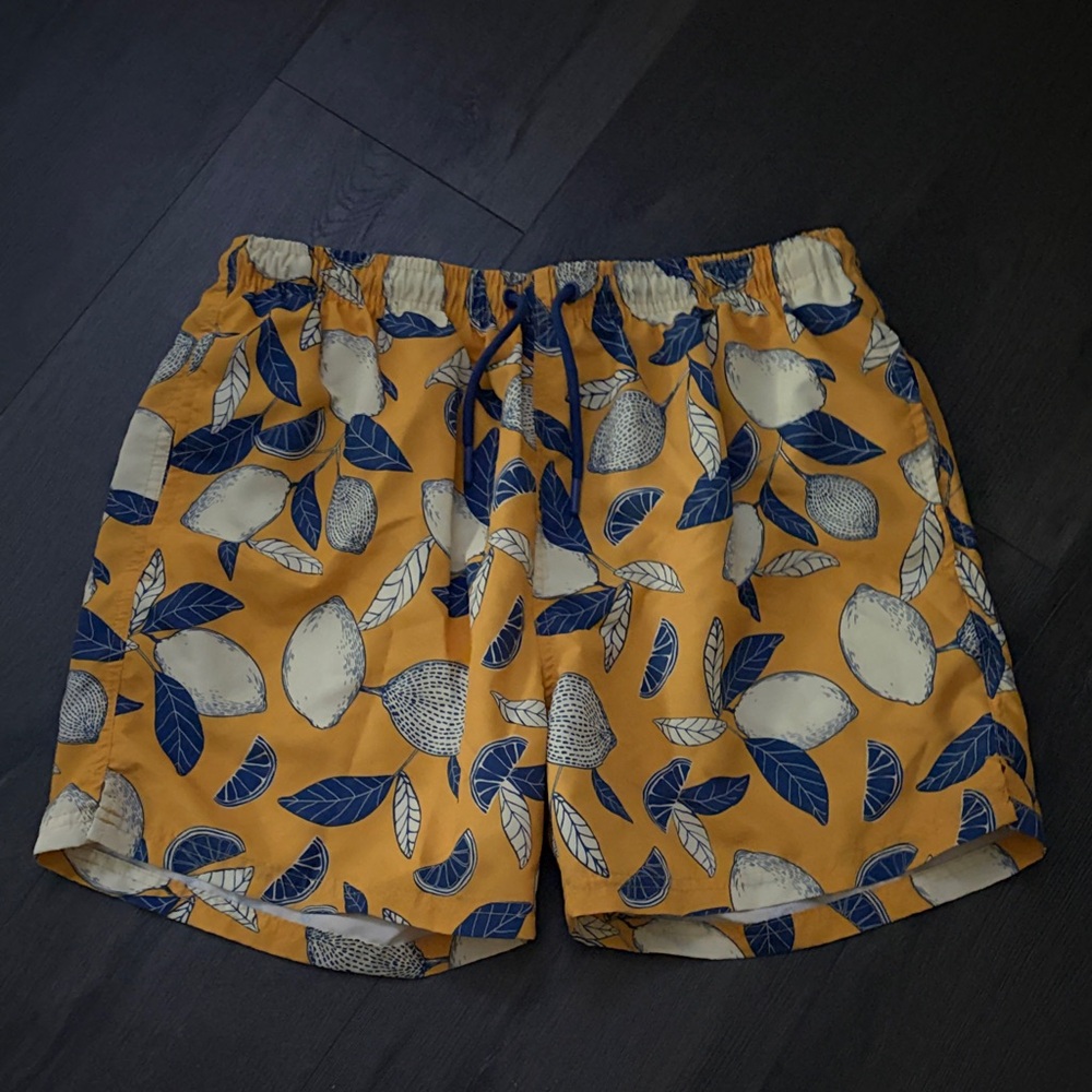Men’s Lemon-Print Drawstring Swim Shorts